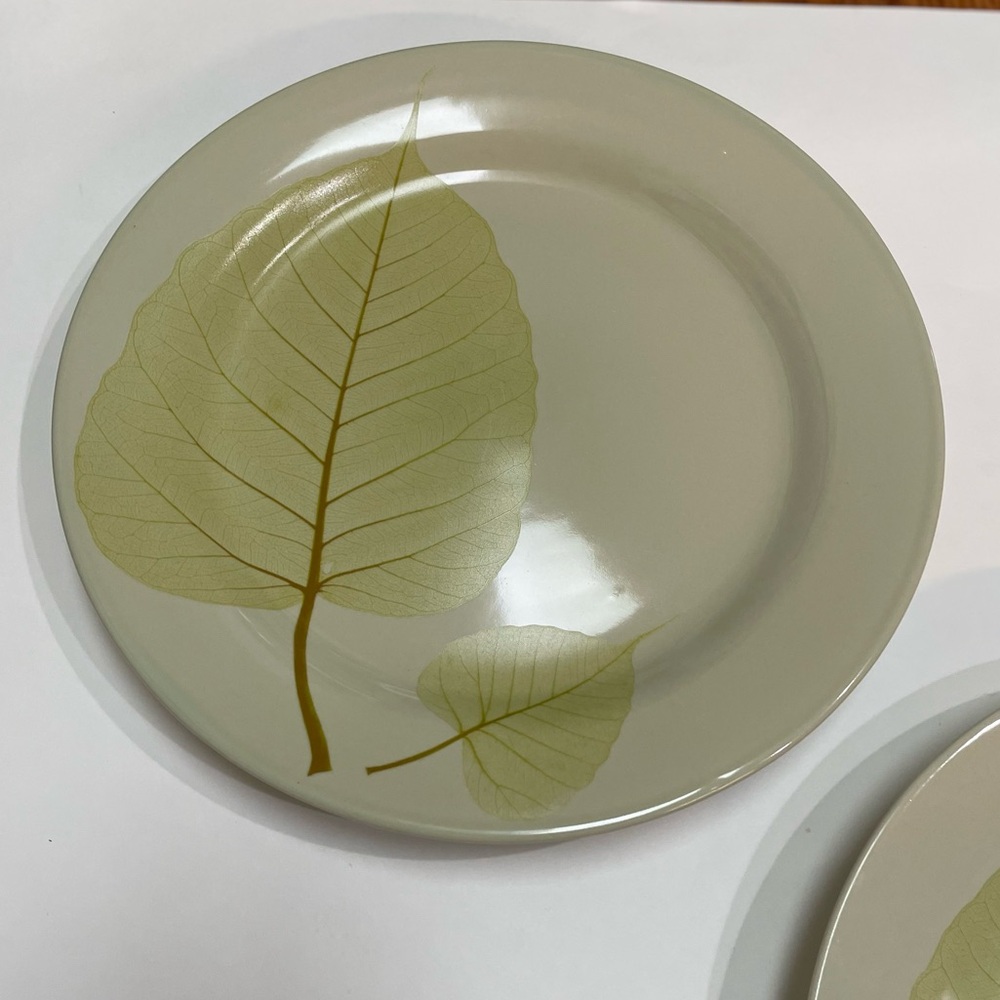 One Pier 1 Aspen Stoneware Dinner Plates